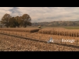 Maize Harvest TIMELAPSE 1568